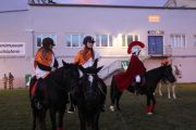 Martiniritt 2015 (c) Stadtgemeinde Laakirchen 001